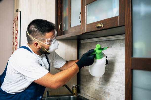 Best Pest Control Treatment  in Red Hill, PA