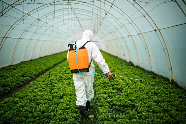 Professional Pest Control in Red Hill, PA