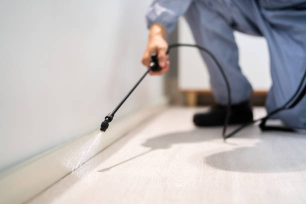 Best Pest Prevention Services  in Red Hill, PA