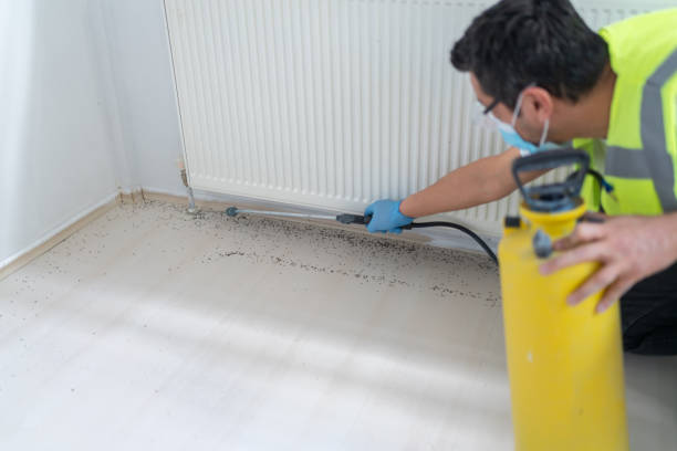 Best Cockroach Control Services  in Red Hill, PA